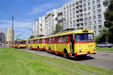 Skoda 12TrH Trolleybus Train